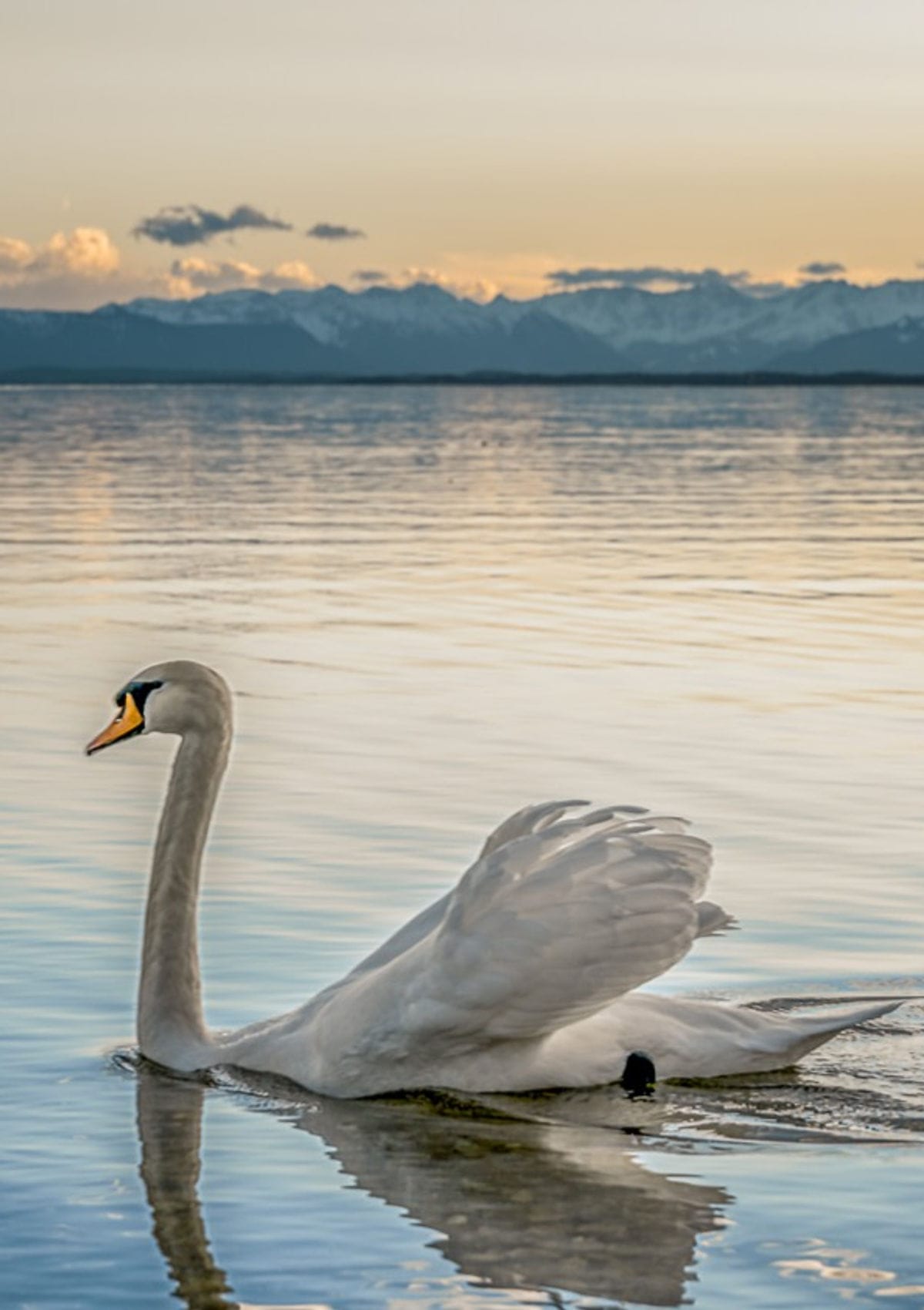 Wassersport am Starnberger See
